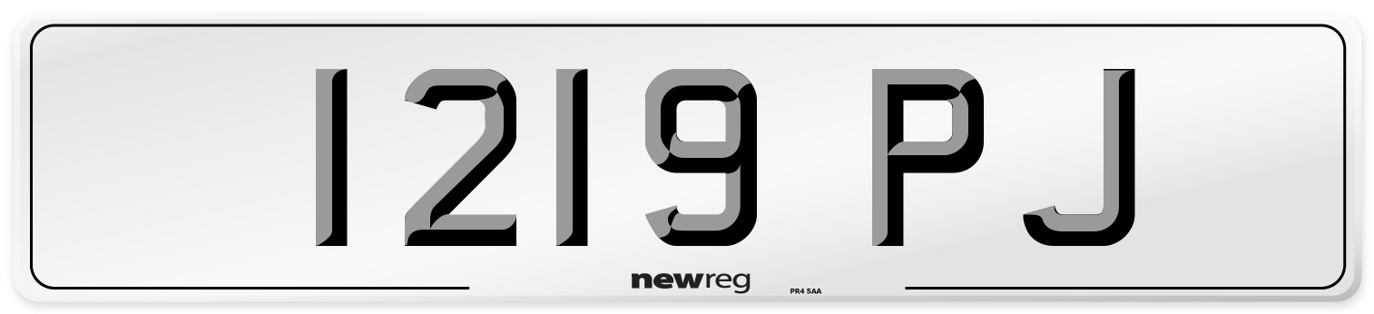 1219 PJ Number Plate from New Reg